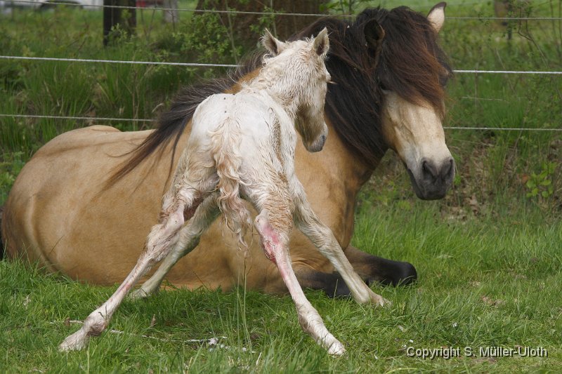 Hjoerdis 24 Min alt (5).JPG